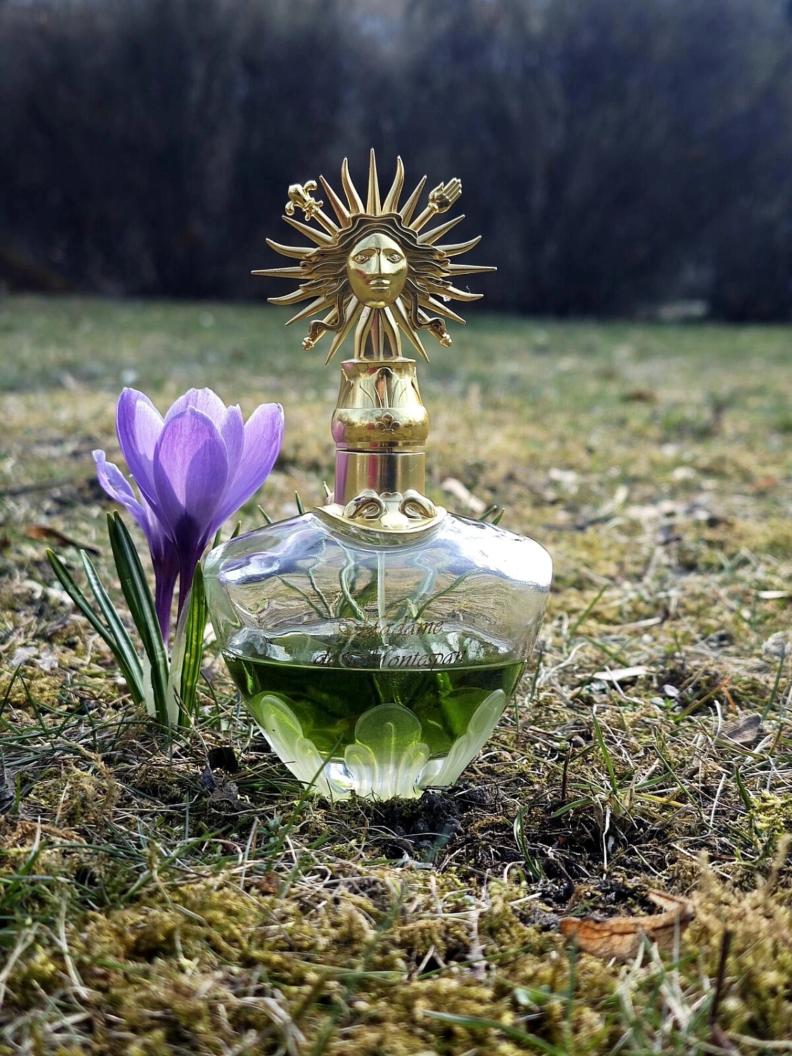 Parfums du Chateau de Versailles Madame de Montespan Parfums du Chateau de Versailles Madame de Montespan
