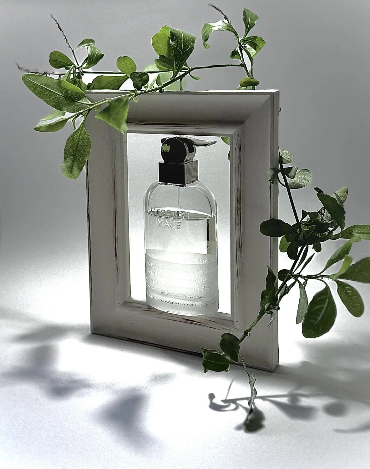 Cerruti 1881 Image Pour Homme