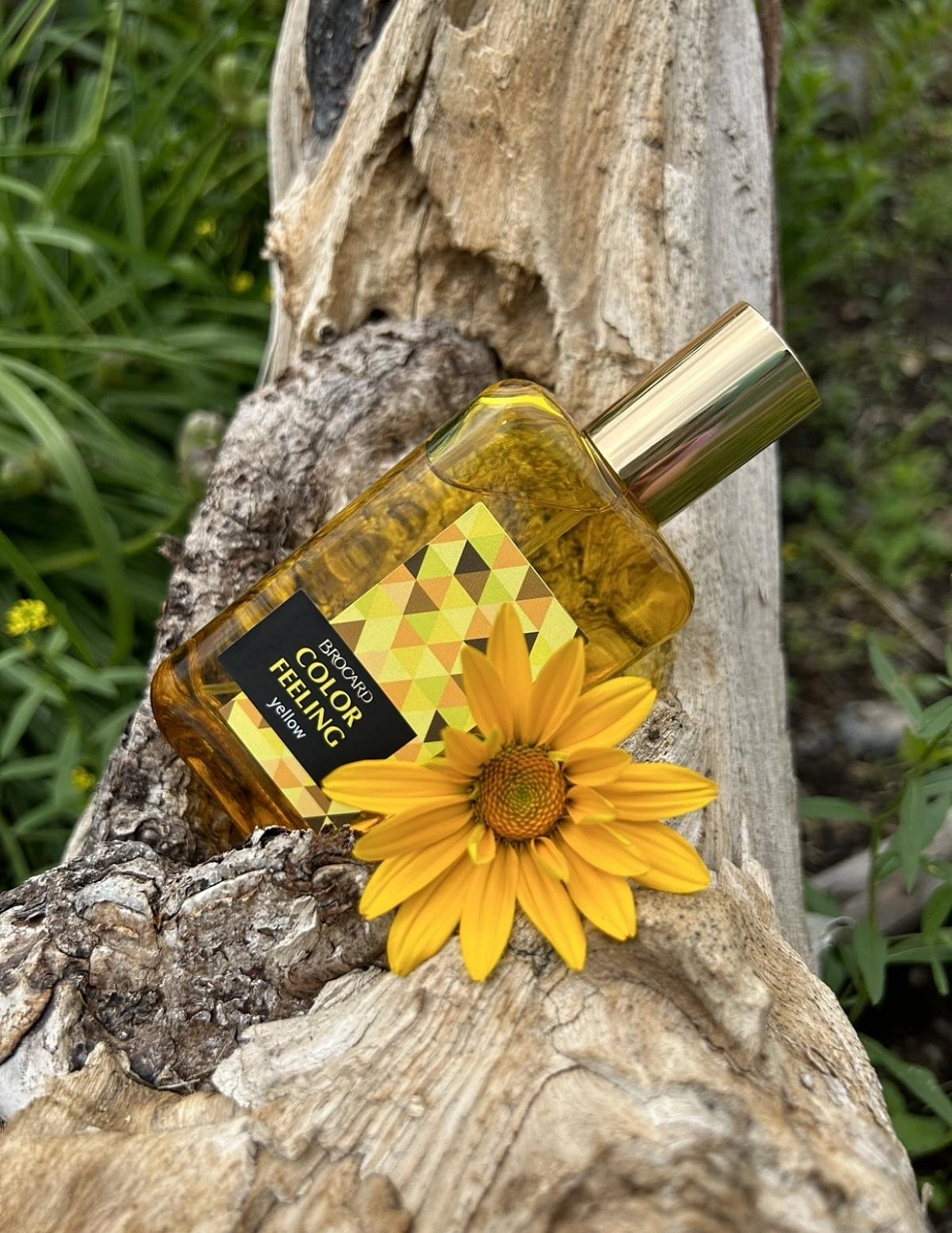 Brocard Color Feeling Yellow