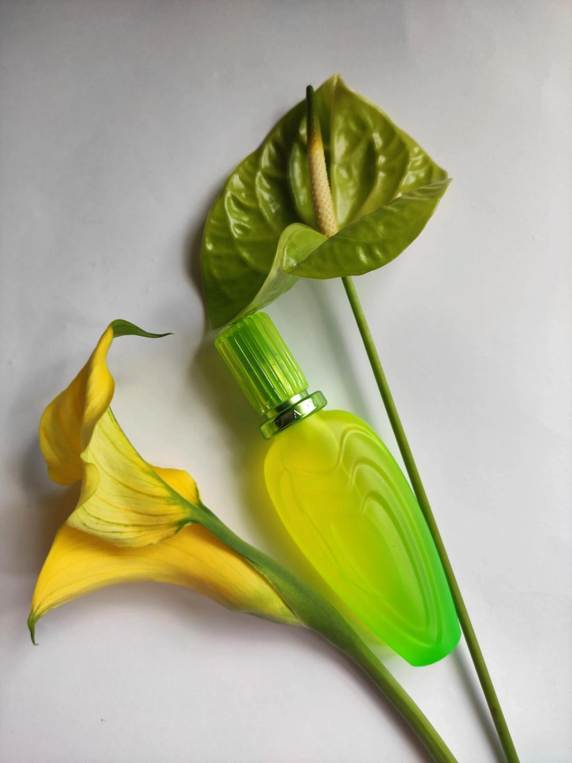 Escada Lily Chic Escada Lily Chic