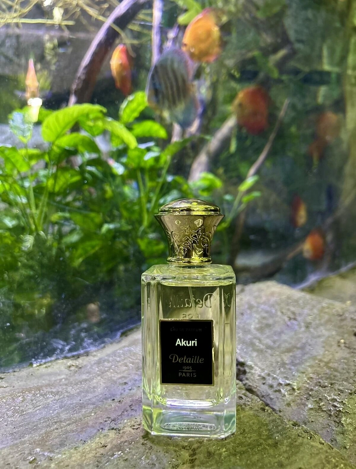 Detaille Akuri