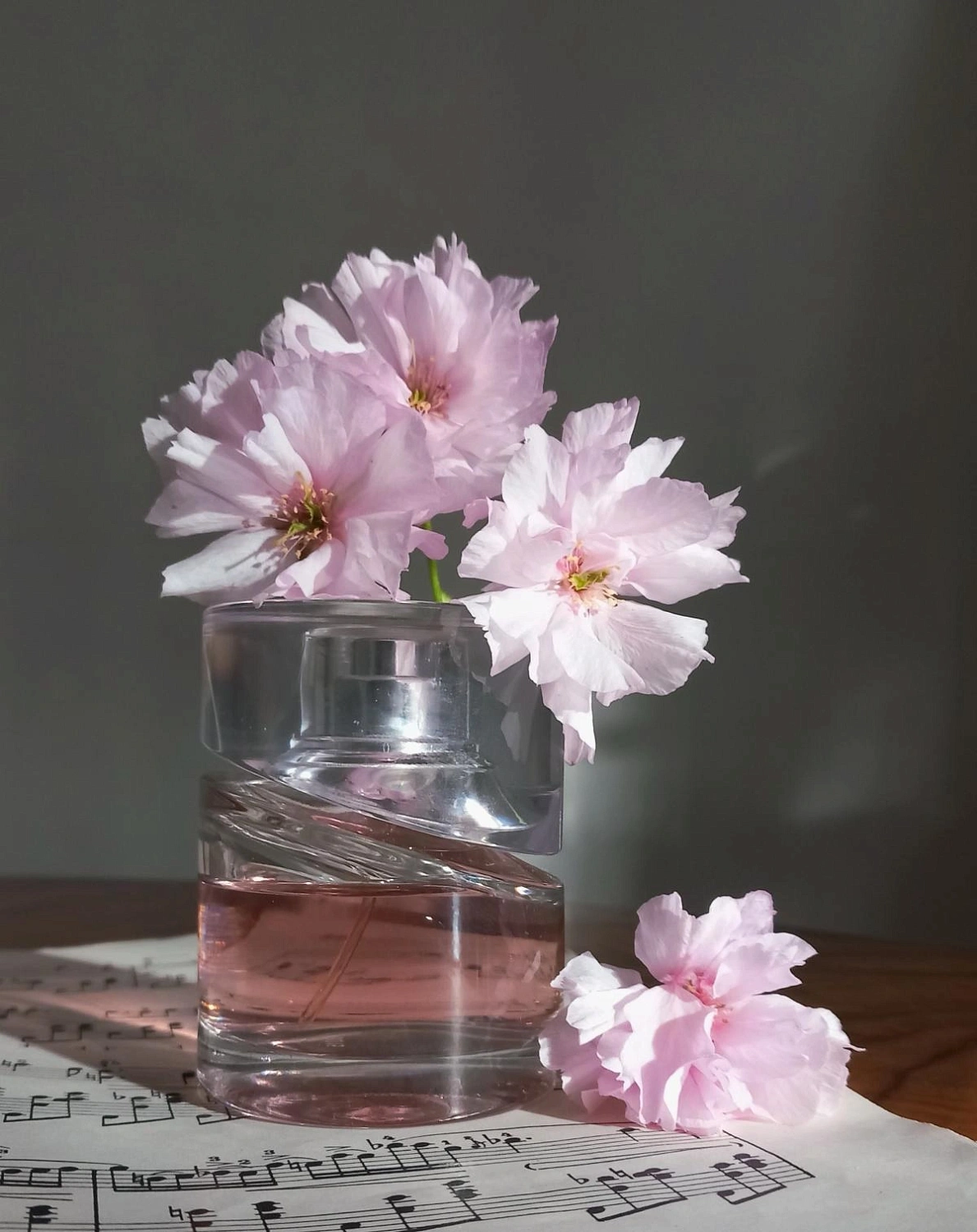 HUGO BOSS Boss Femme