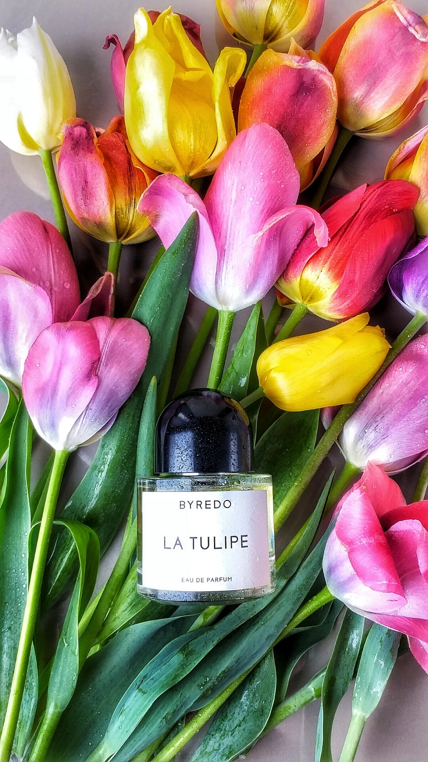 BYREDO La Tulipe