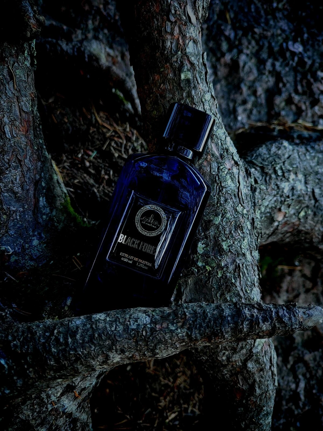 Al Ambra Black Forest