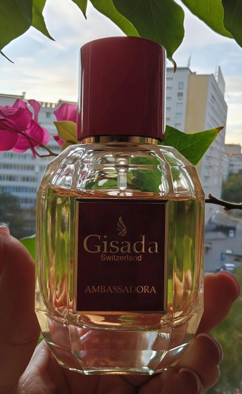 Gisada Ambassadora