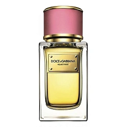 Dolce & Gabbana Velvet Rose
