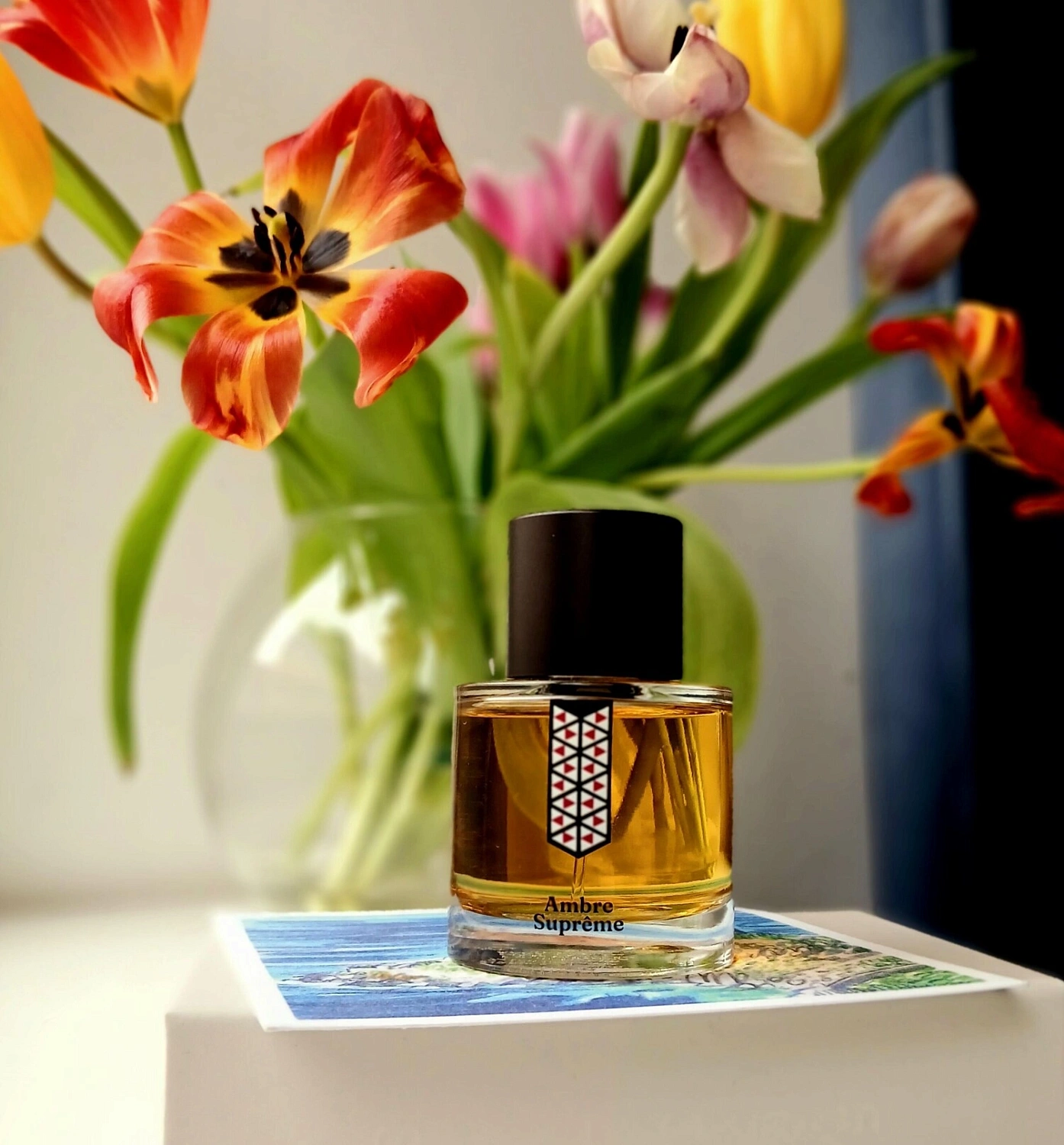 Les Indémodables Ambre Supreme