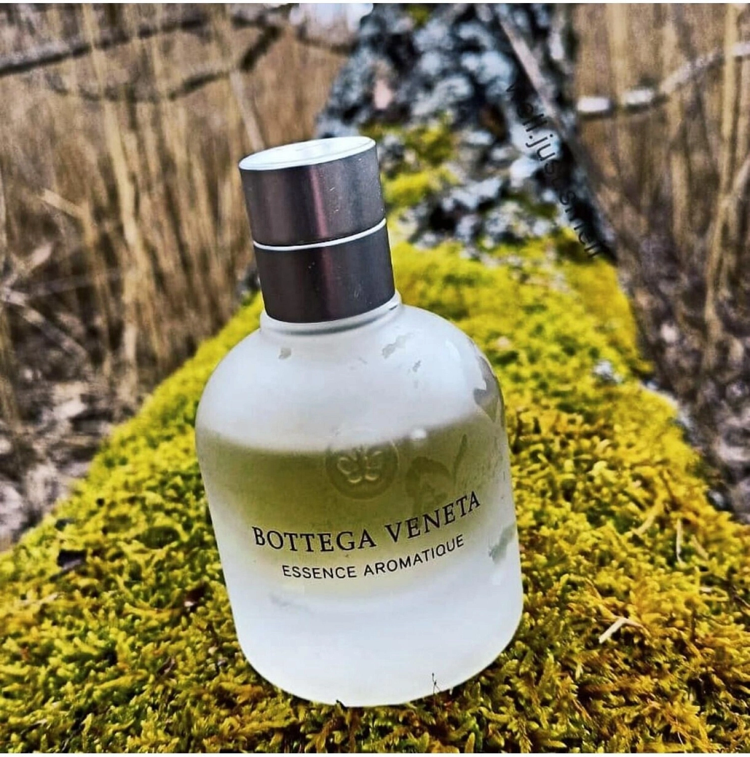 Bottega Veneta Essence Aromatique