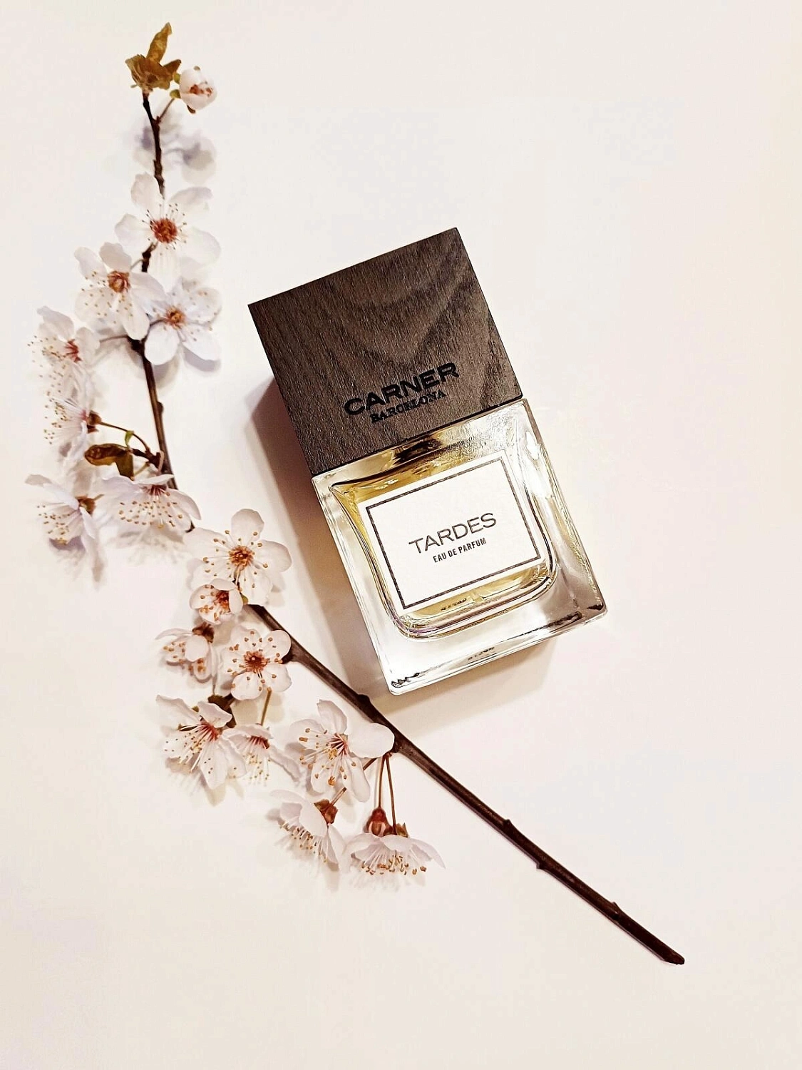 Carner Barcelona Tardes