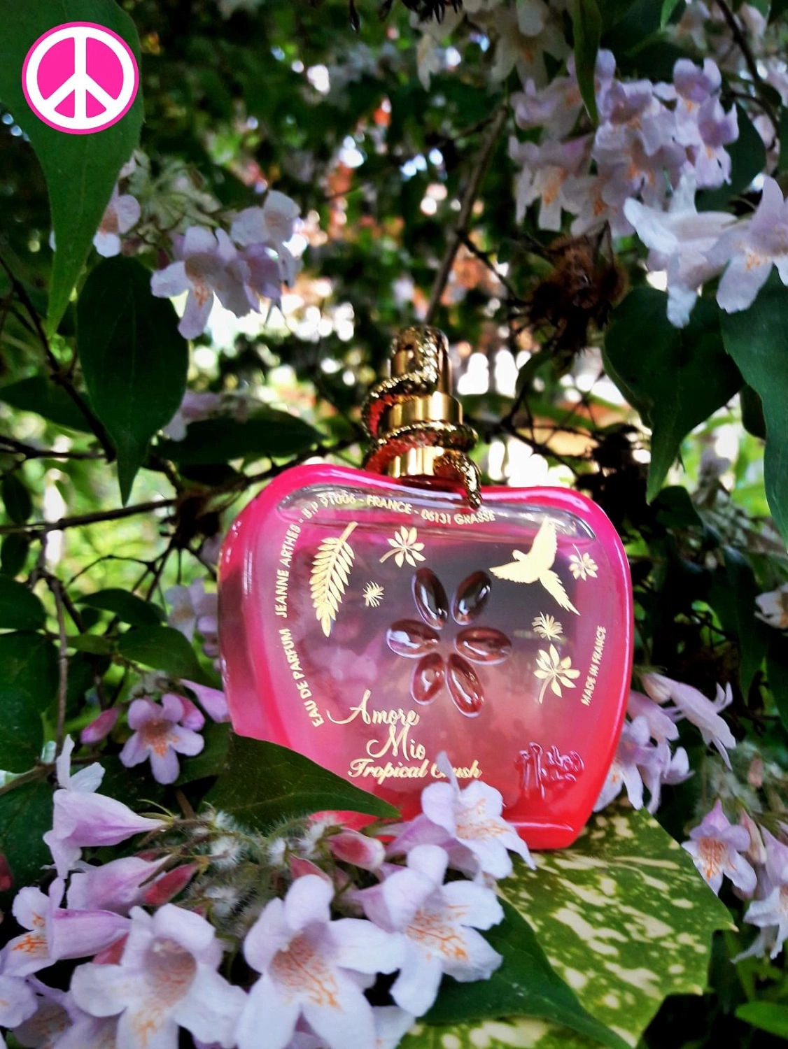 Jeanne Arthes Amore Mio Tropical Crush