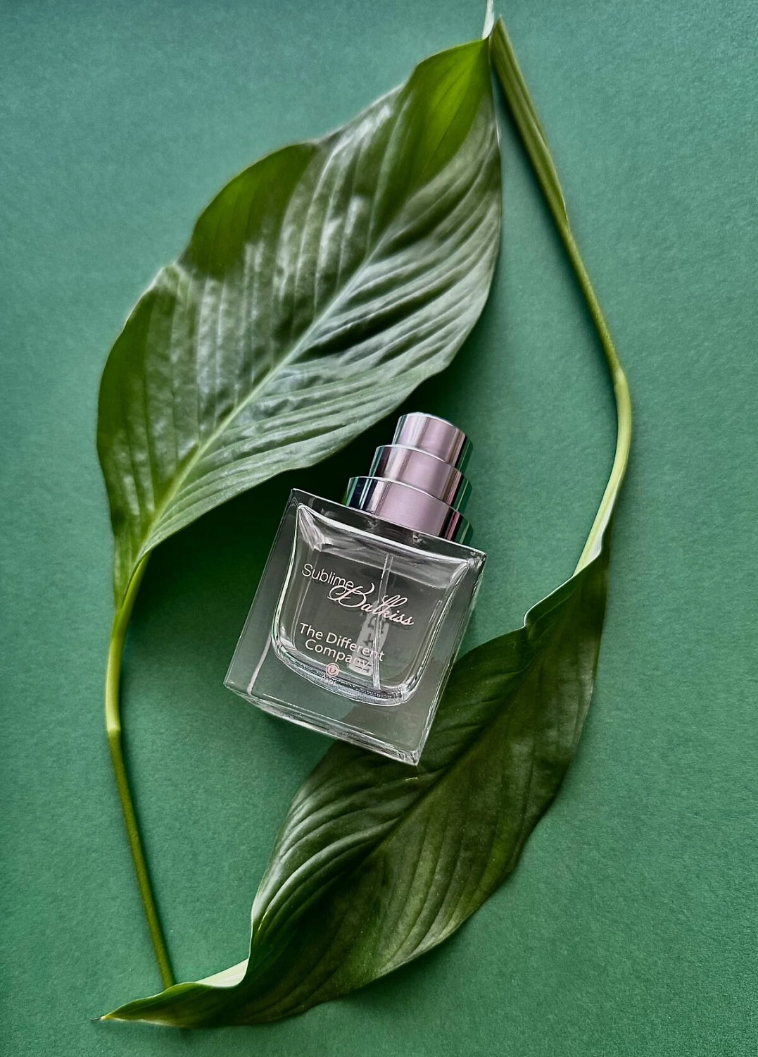 The Different Company Sublime Balkiss