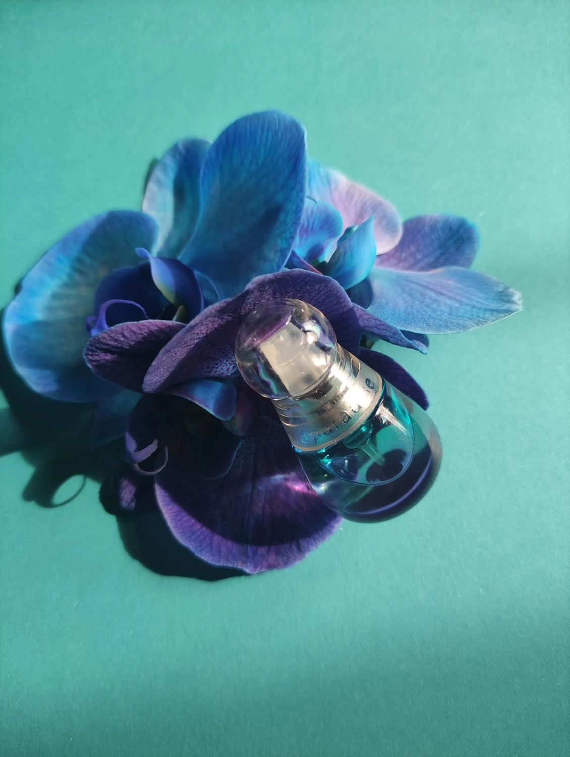 Estee Lauder Beyond Paradise