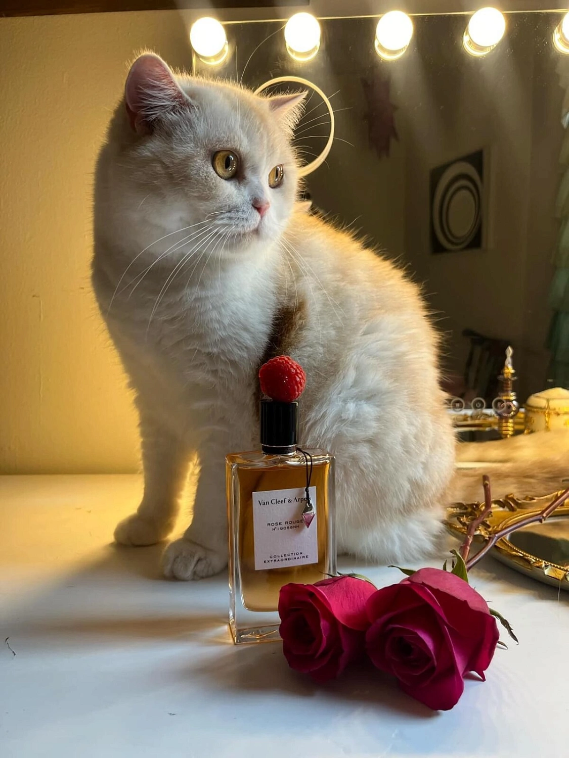 Van Cleef & Arpels Rose Rouge Van Cleef & Arpels Rose Rouge