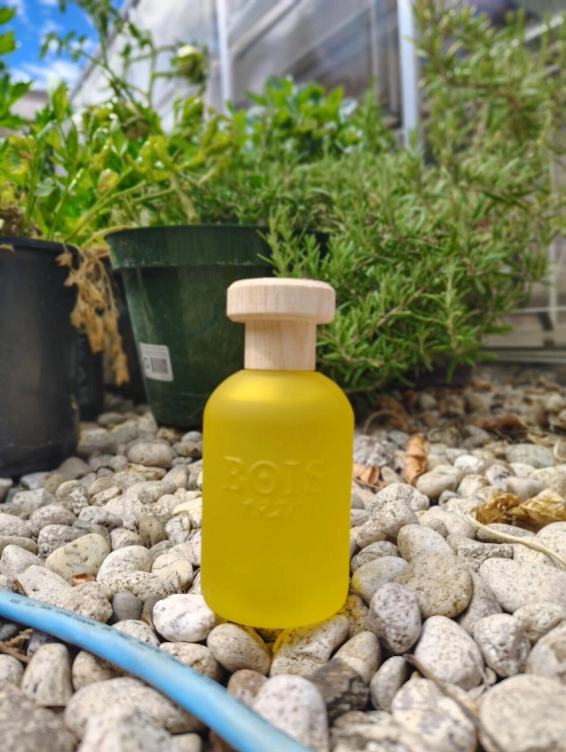 Bois 1920 Cannabis Fruttata