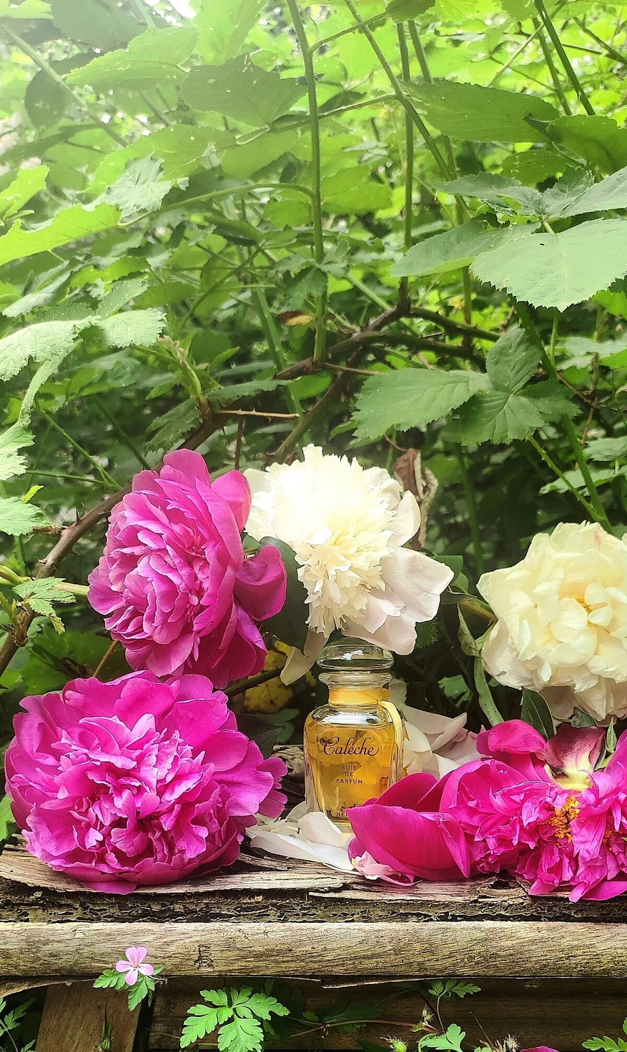 Hermes Caleche Soie de Parfum