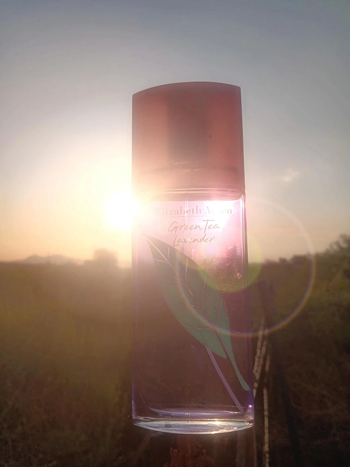 Elizabeth Arden Green Tea Lavender