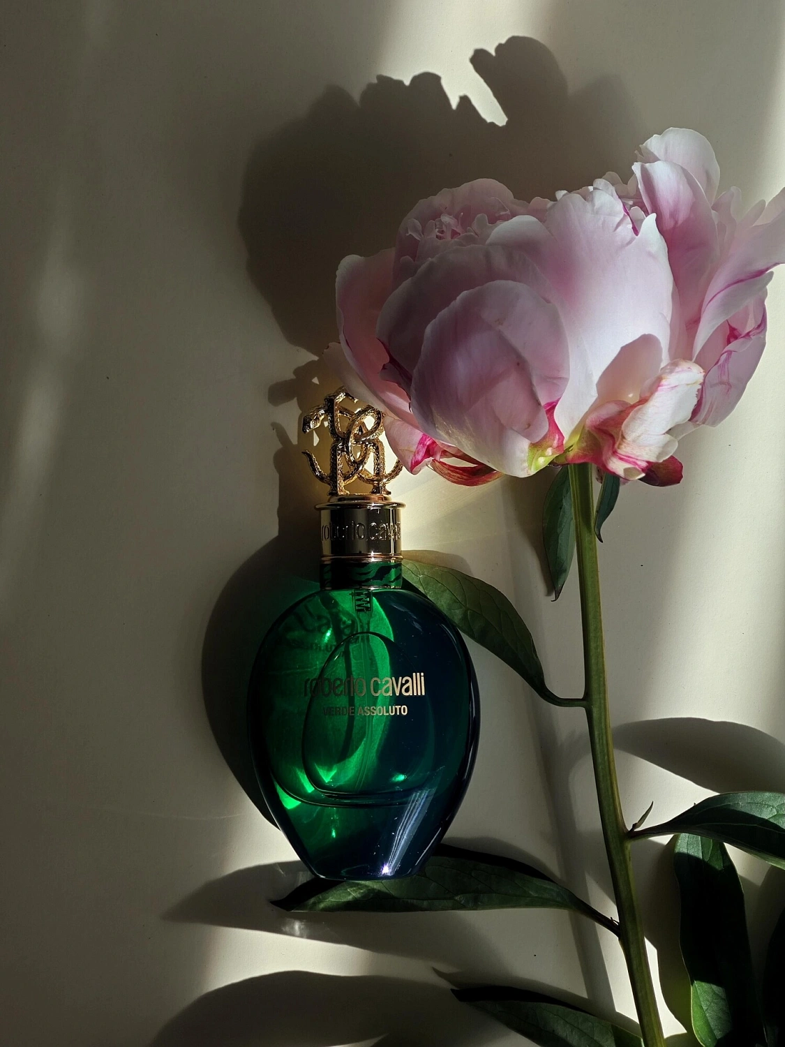 Roberto Cavalli Signature Verde Assoluto
