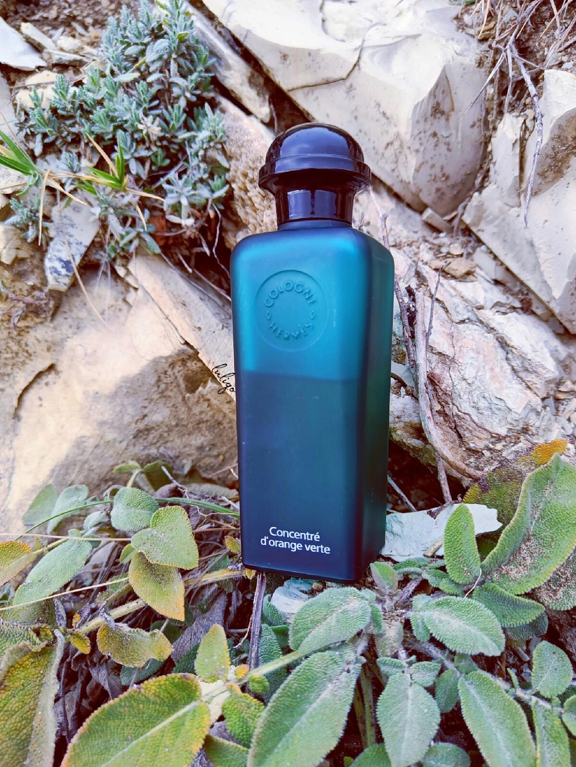 Hermes Concentre d`Orange Verte