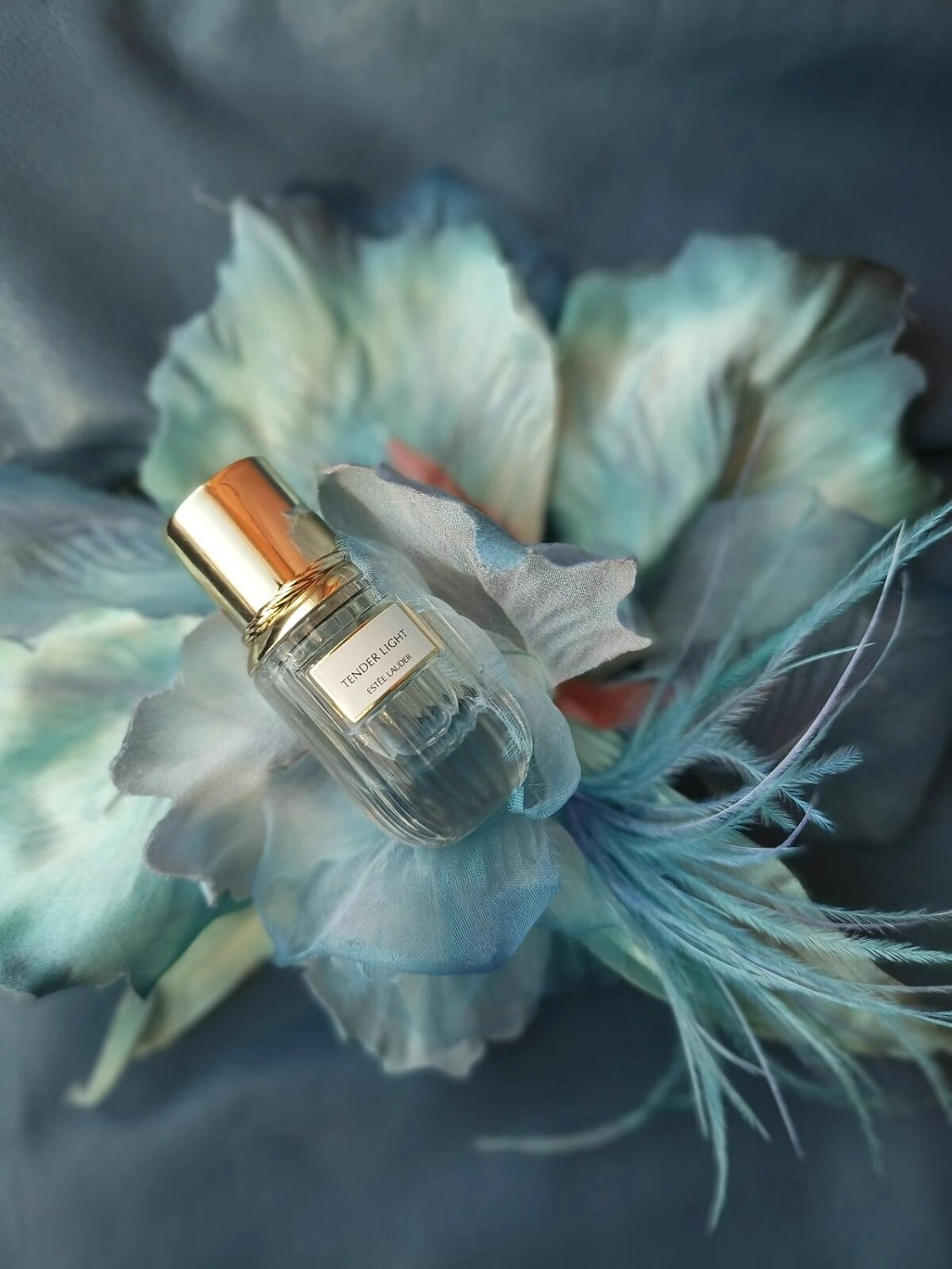 Estee Lauder Tender Light