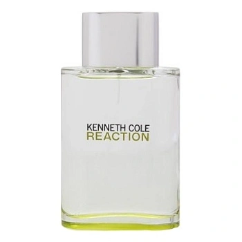 KENNETH COLE Reaction for Men туалетная вода, 100 мл тестер KENNETH COLE Reaction for Men туалетная вода, 100 мл тестер