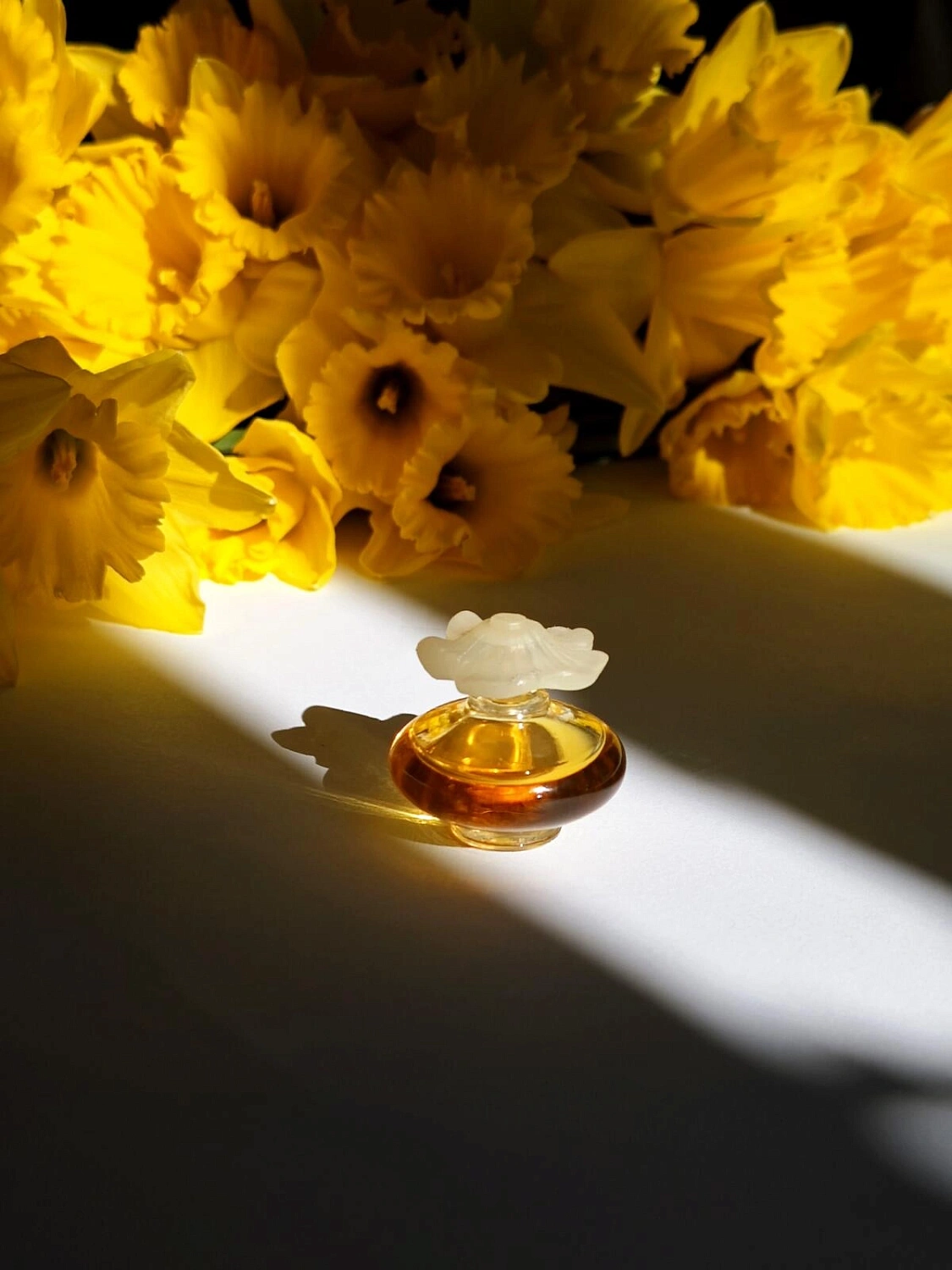 NINA RICCI Fleur de Fleurs NINA RICCI Fleur de Fleurs