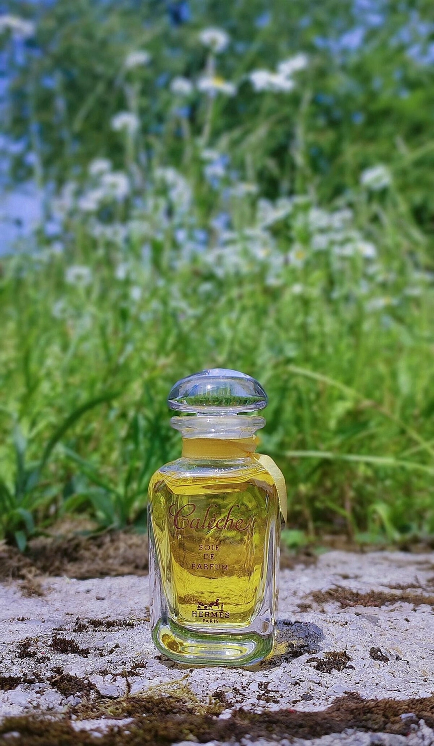 Hermes Caleche Soie de Parfum Hermes Caleche Soie de Parfum