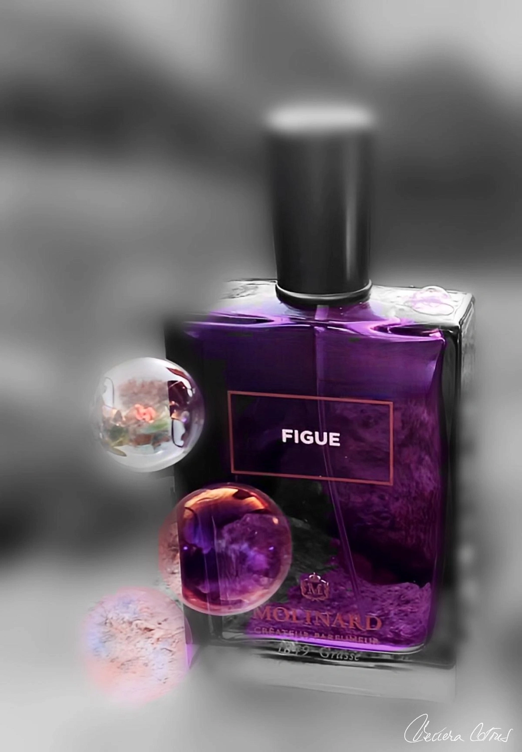 Molinard Figue Eau de Parfum