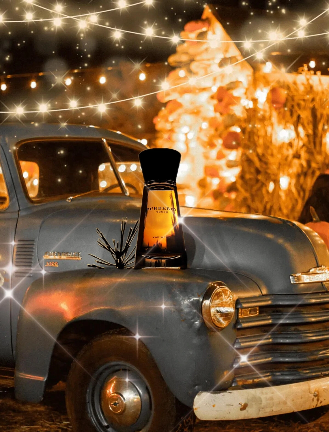 Burberry Touch for Women