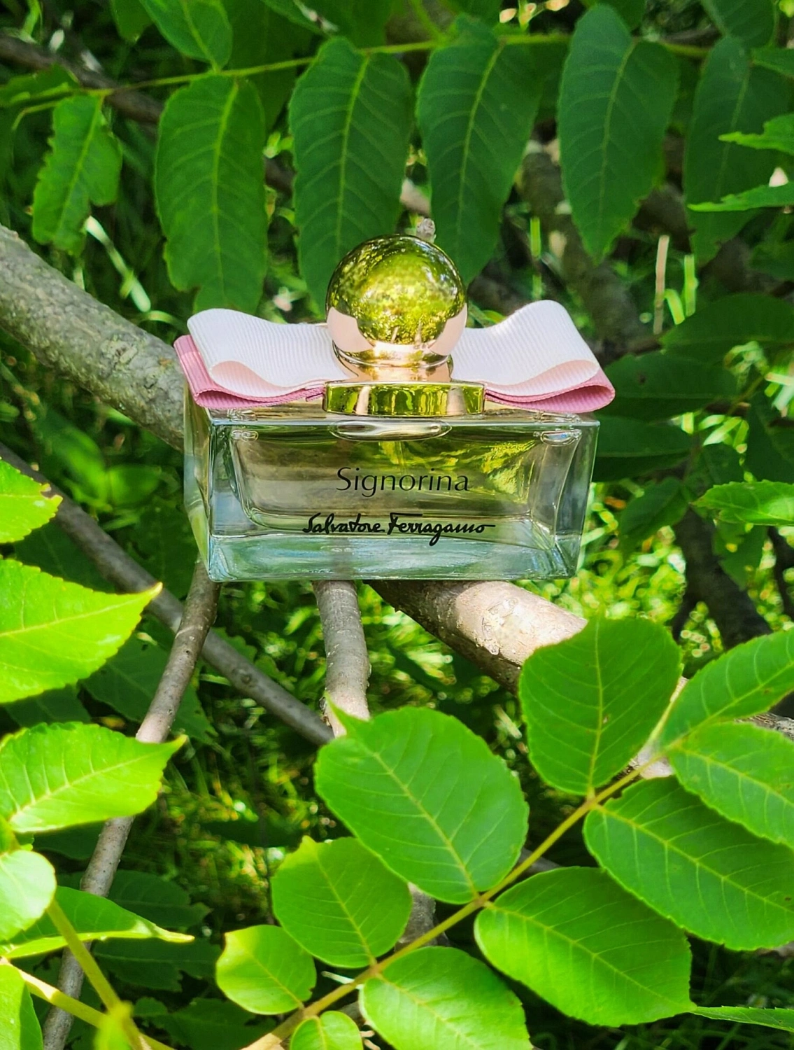 Salvatore Ferragamo Signorina Eau de Parfum