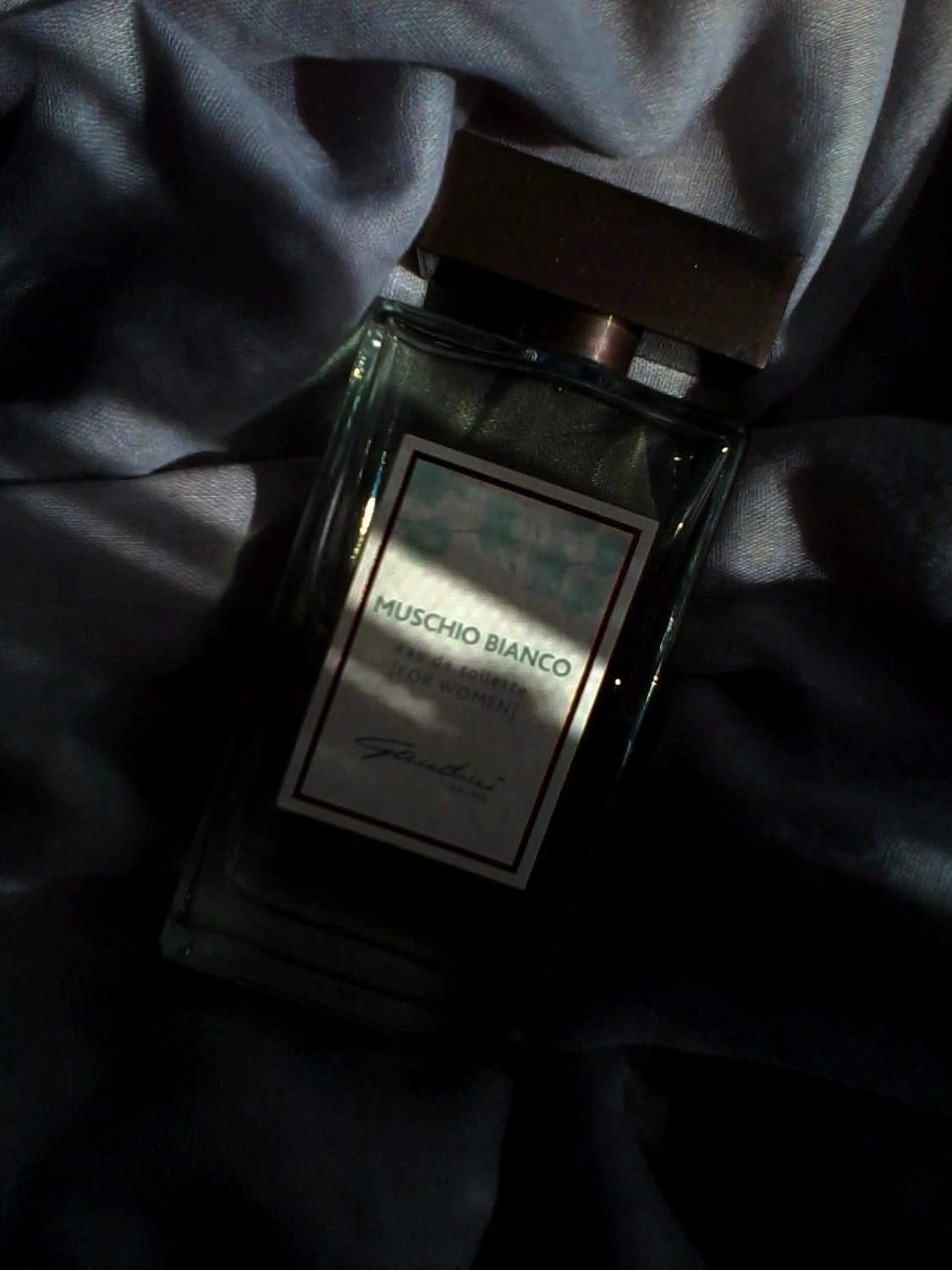 Gandini 1896 Muschio Bianco