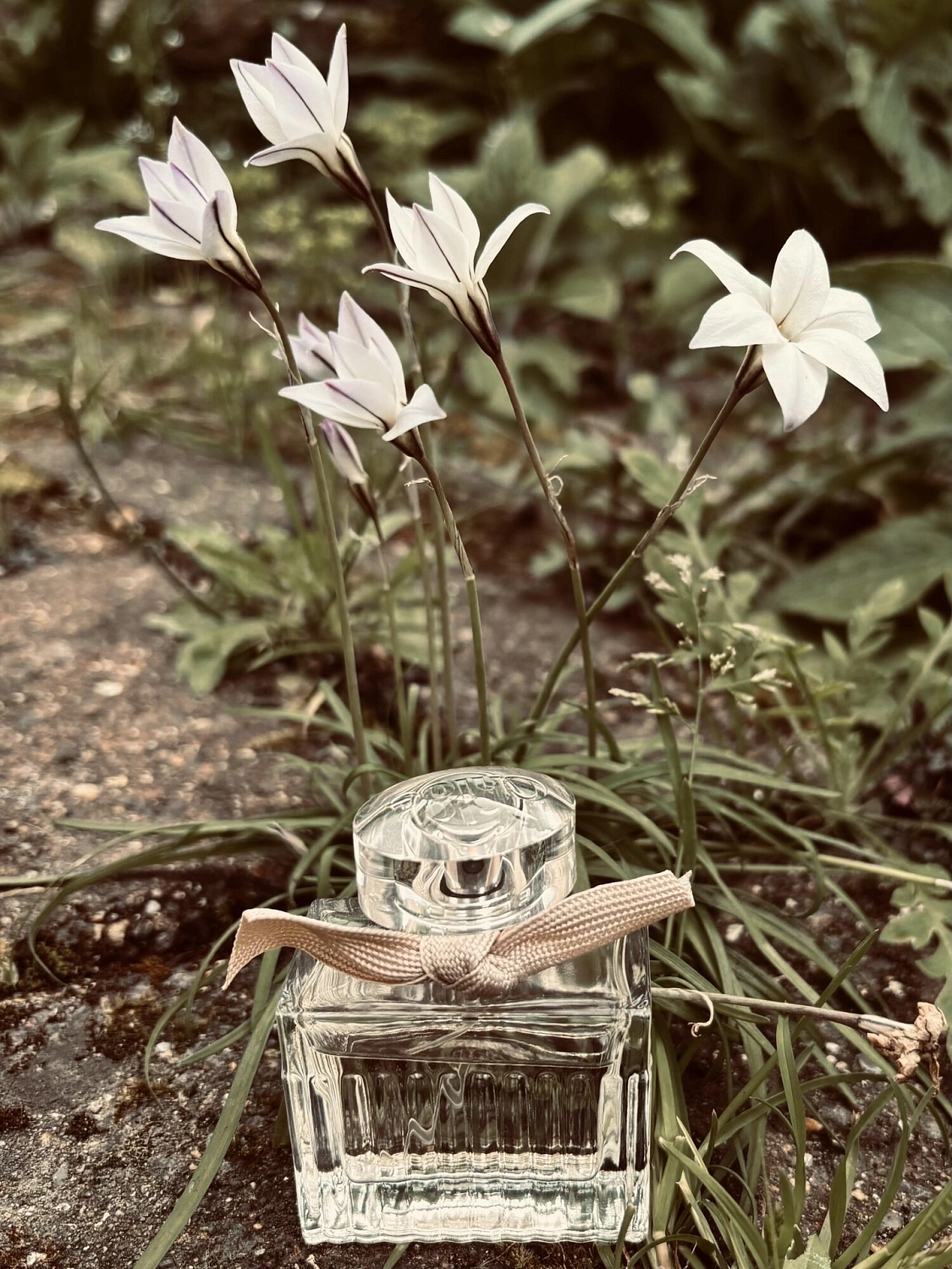 Chloé Eau De Parfum