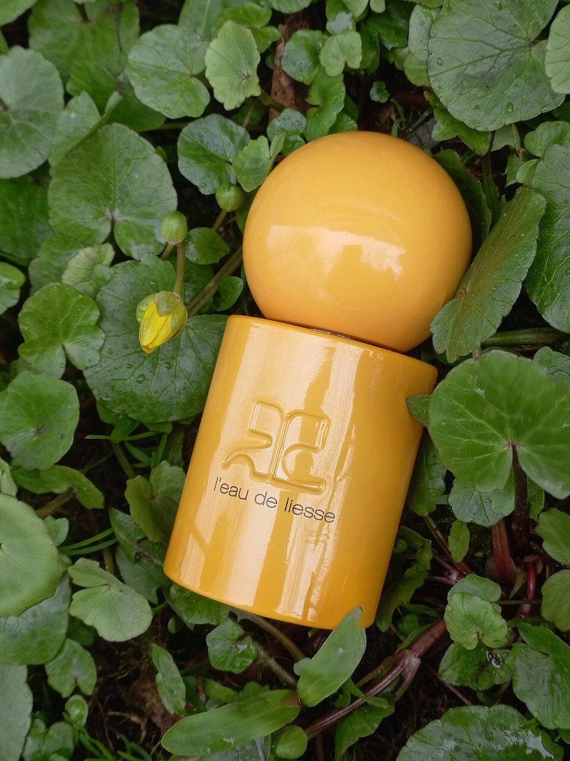 Courrèges L'Eau De Liesse