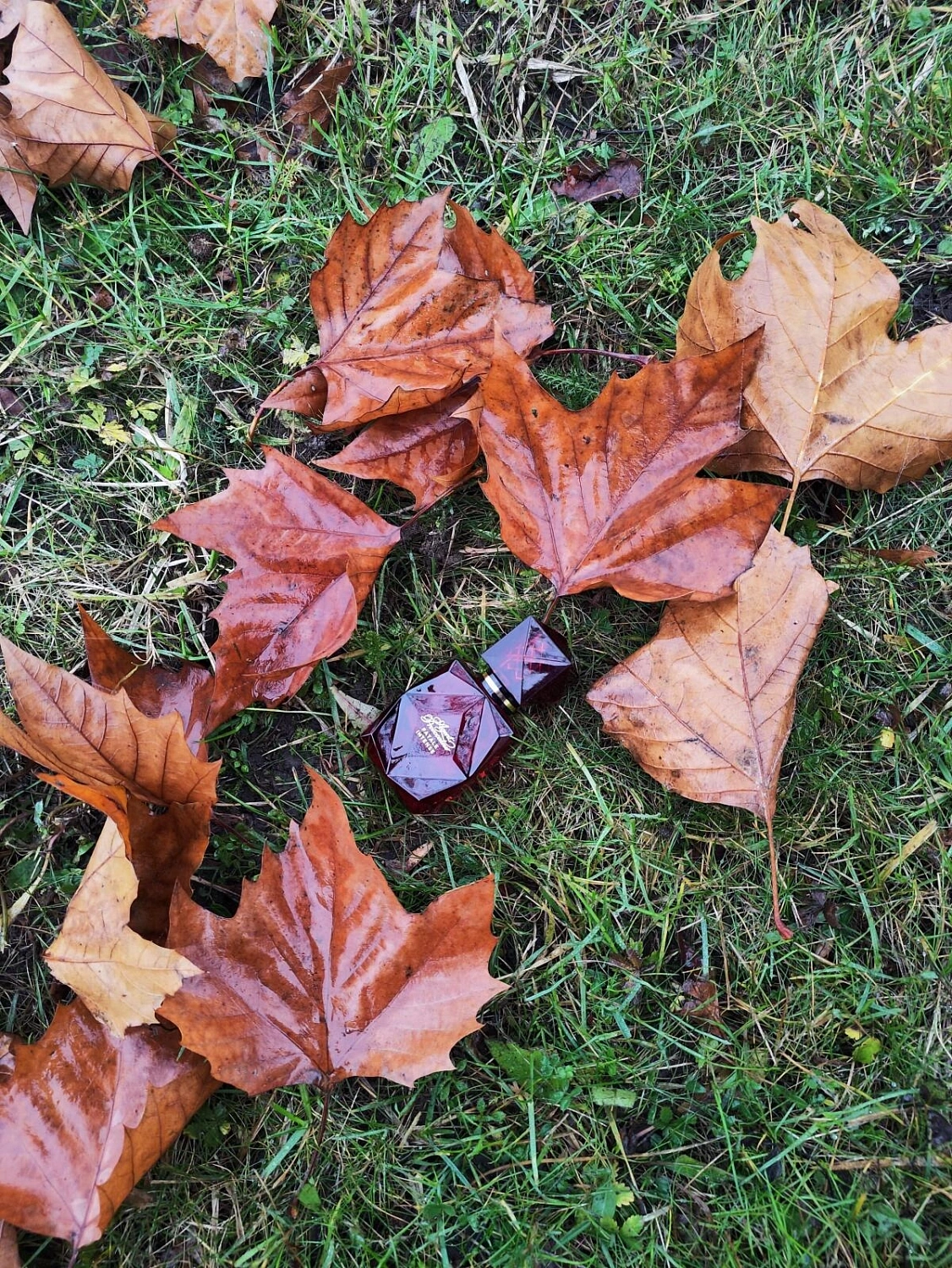 Agent Provocateur Fatale Intense