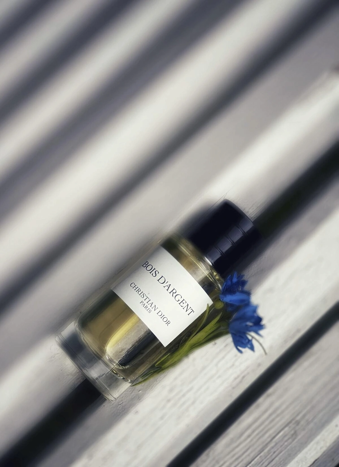 Christian Dior Bois D'Argent