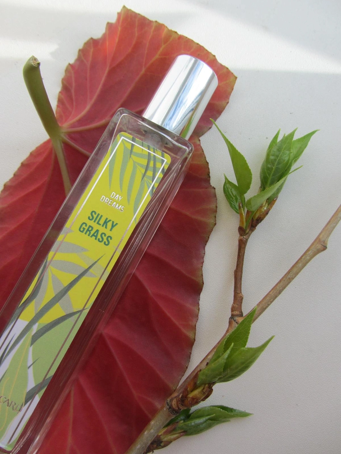 Brocard Silky Grass (Шелковая трава)