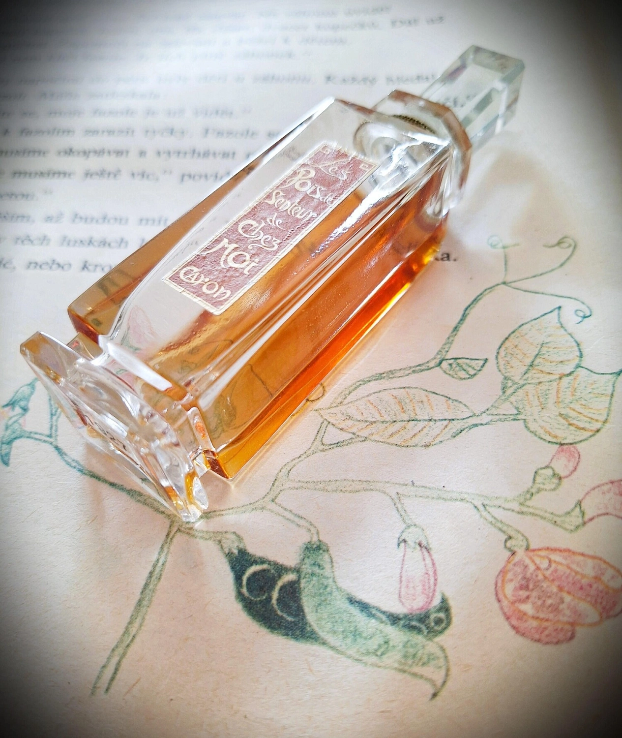 Caron Pois de Senteur