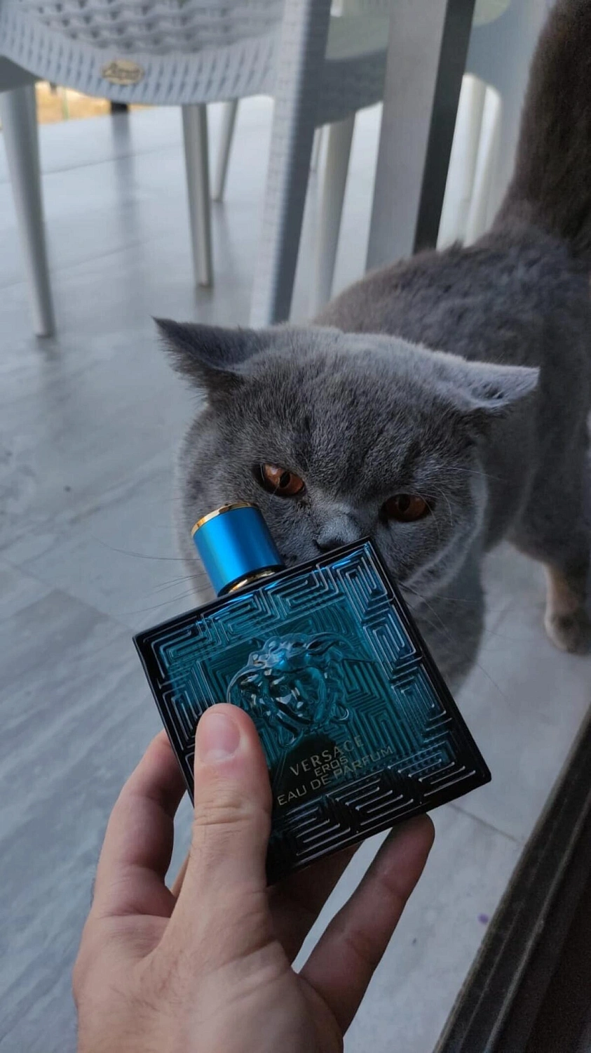 Versace Eros Eau De Parfum Versace Eros Eau De Parfum