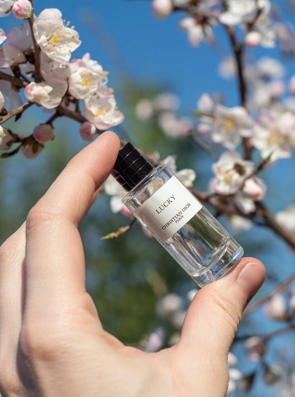 Christian Dior Lucky