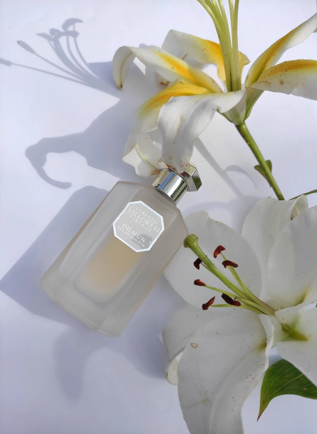 Lorenzo Villoresi Dilmun