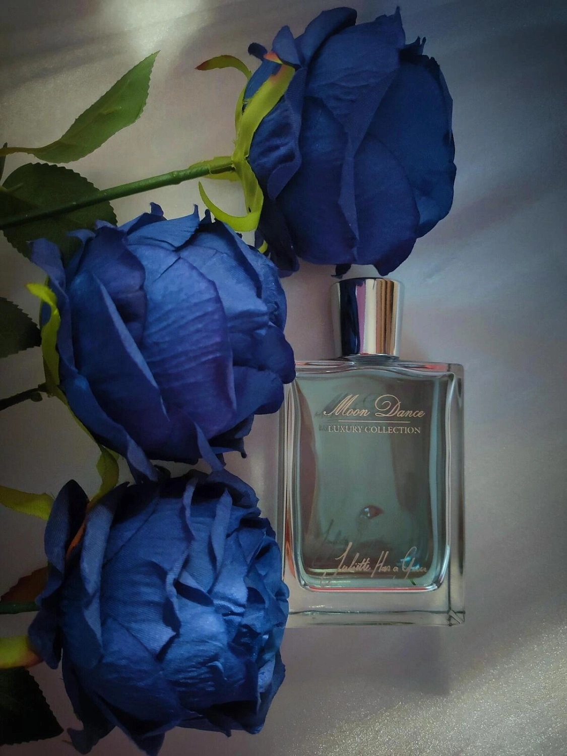 Juliette Has A Gun Moon Dance