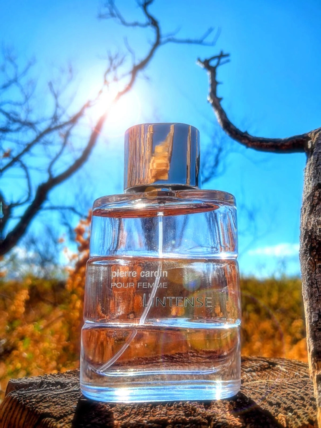 Pierre Cardin pour Femme l'Intense