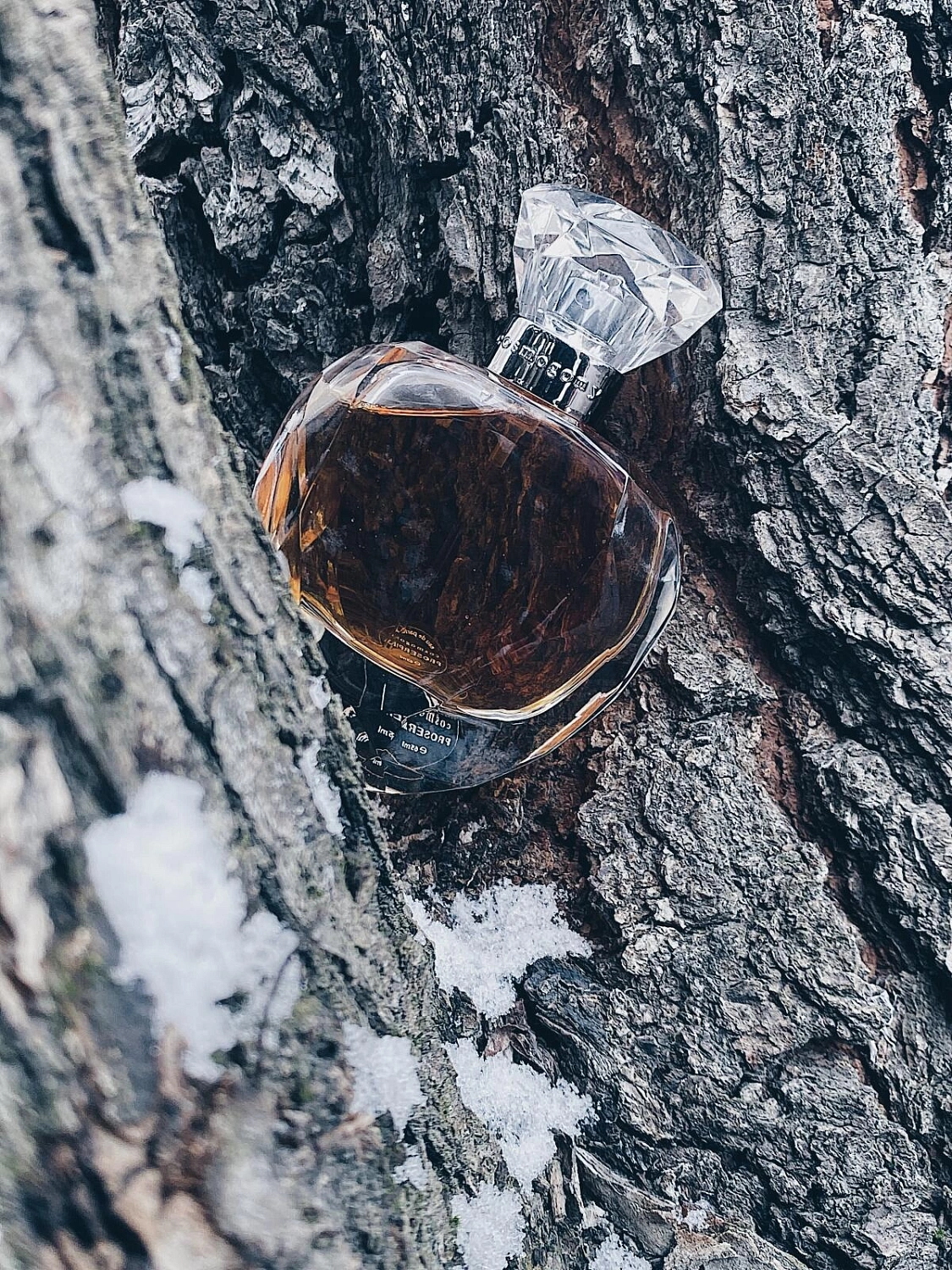 Cosmogony Proserphina