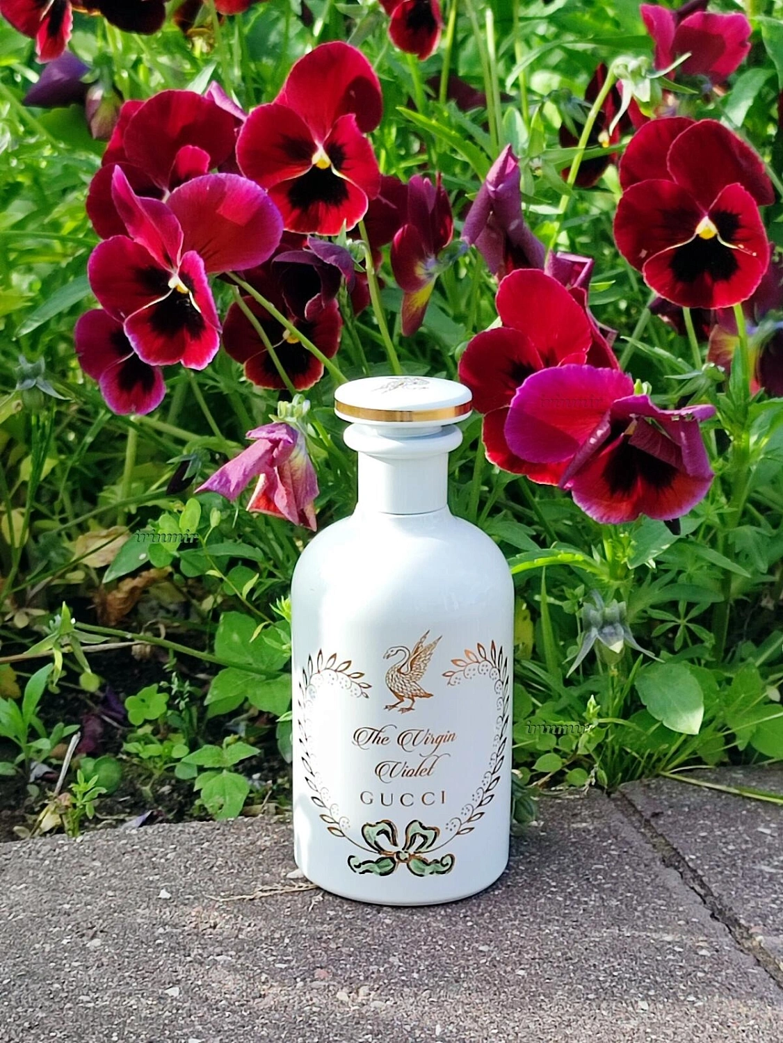 GUCCI The Virgin Violet Eau de Parfum