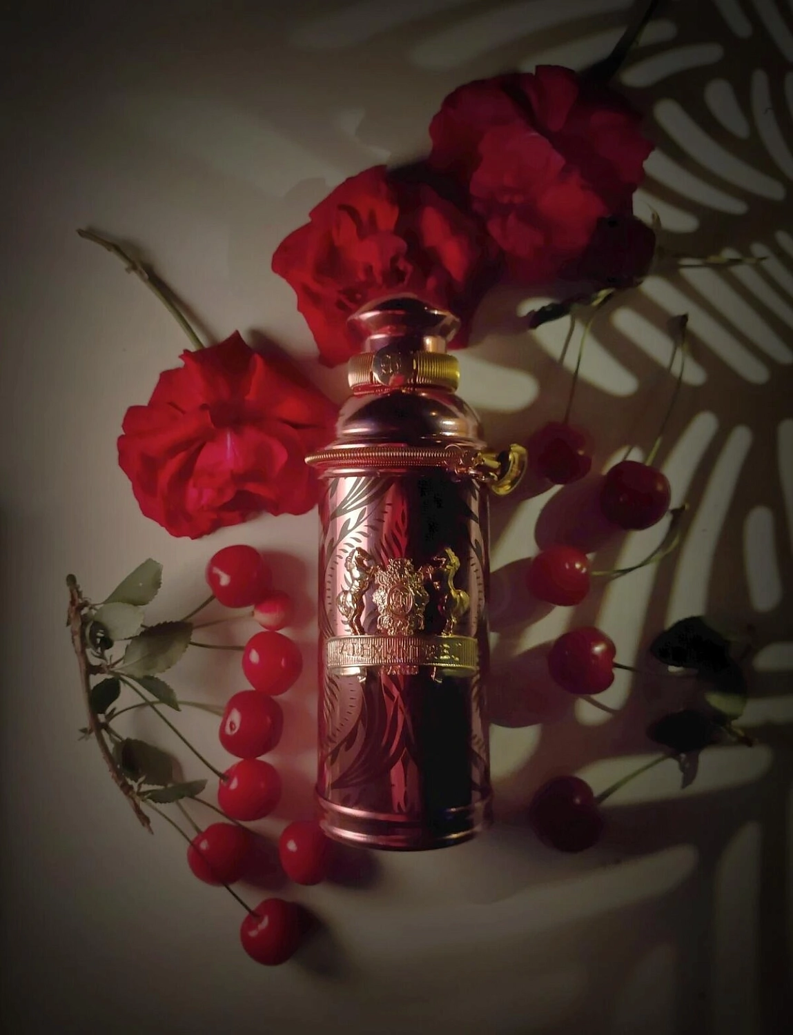 Alexandre J Zafeer Morning Muscs