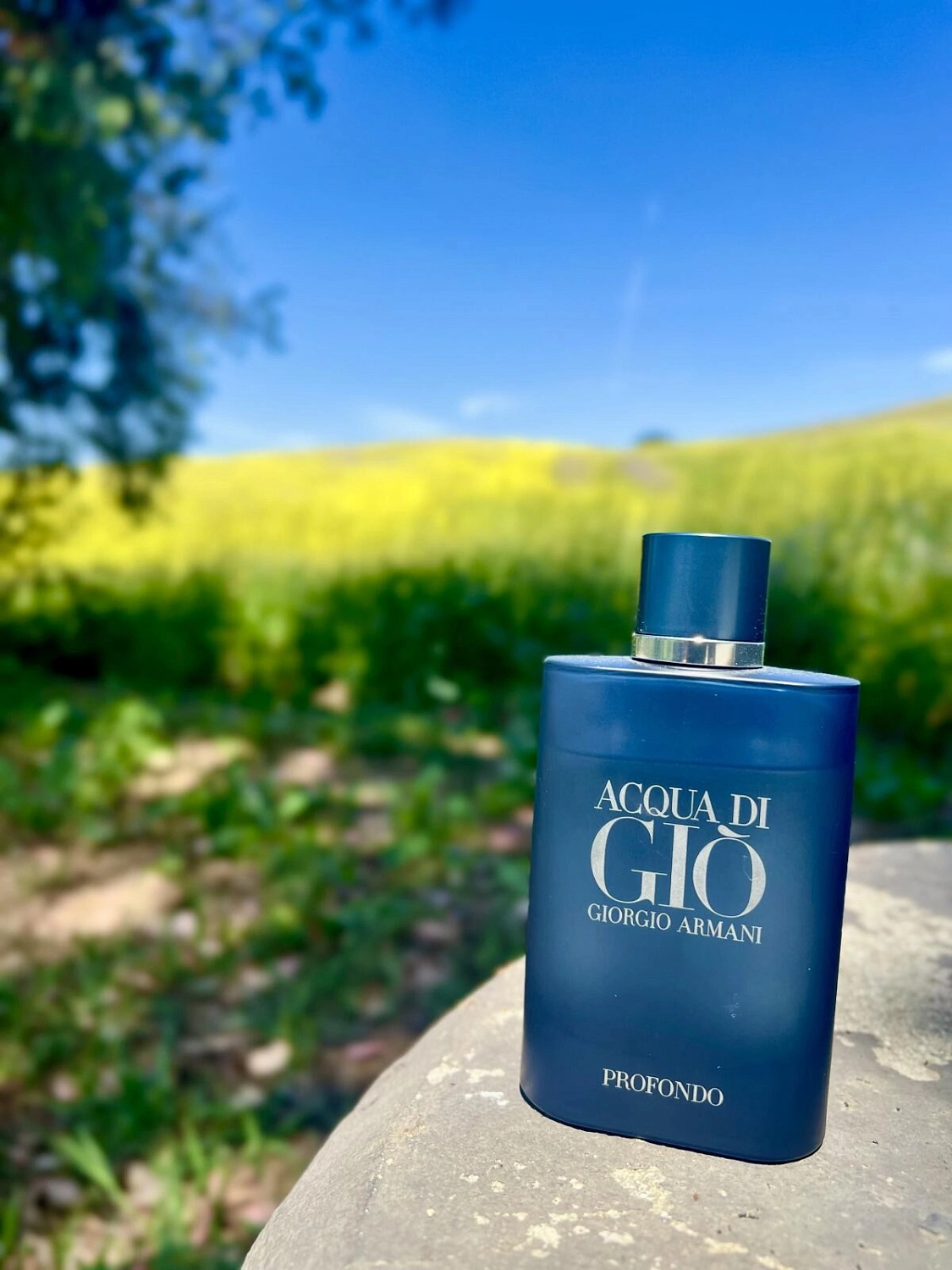 ARMANI Acqua di Gio Profondo