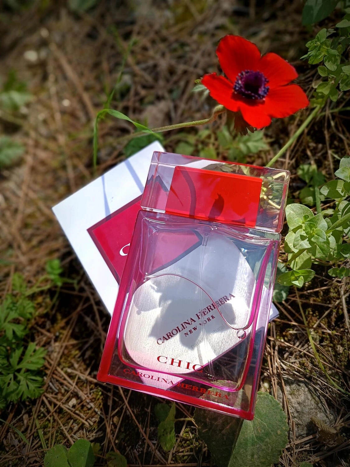 Carolina Herrera Chic