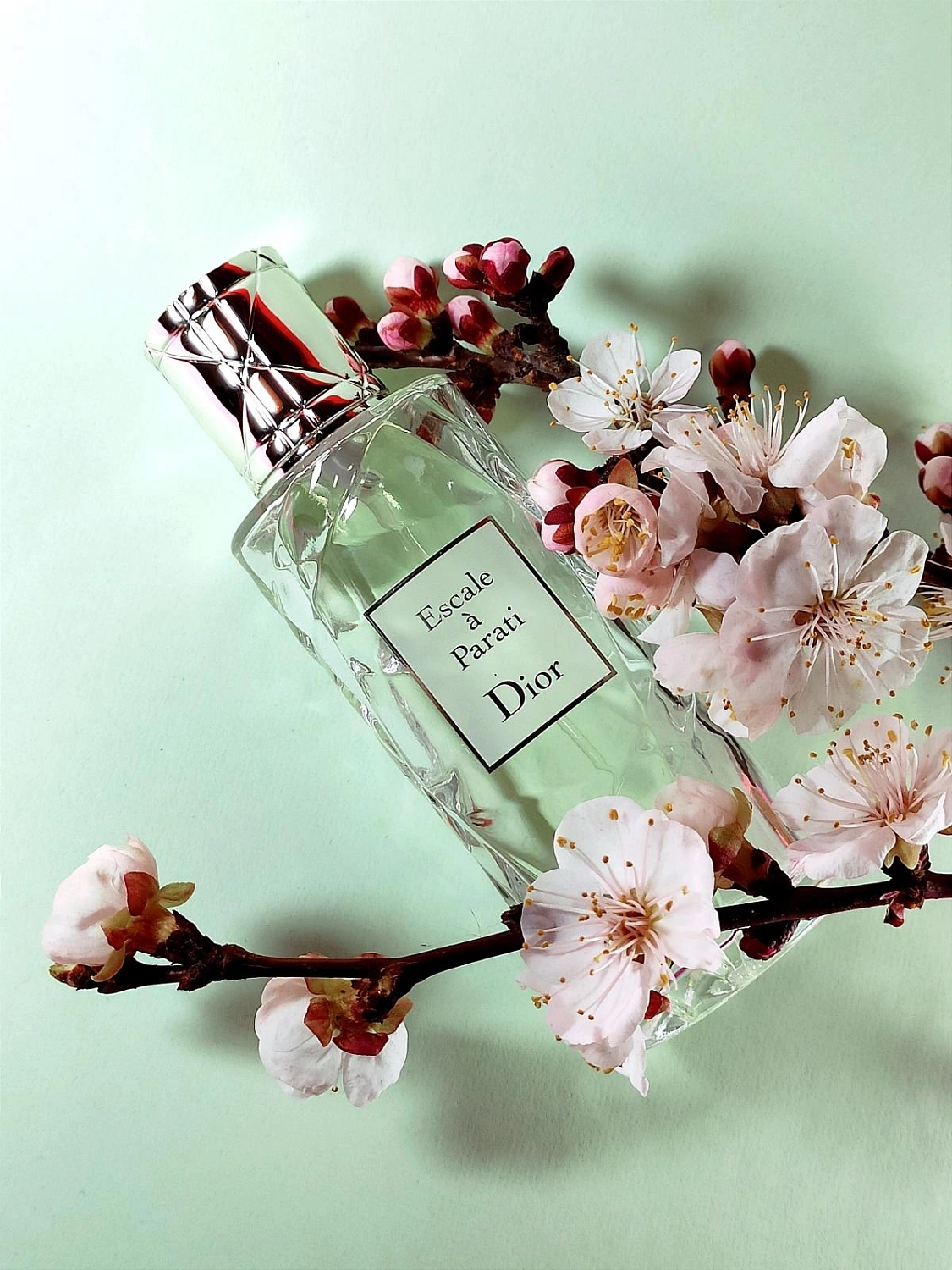 Christian Dior Escale a Parati