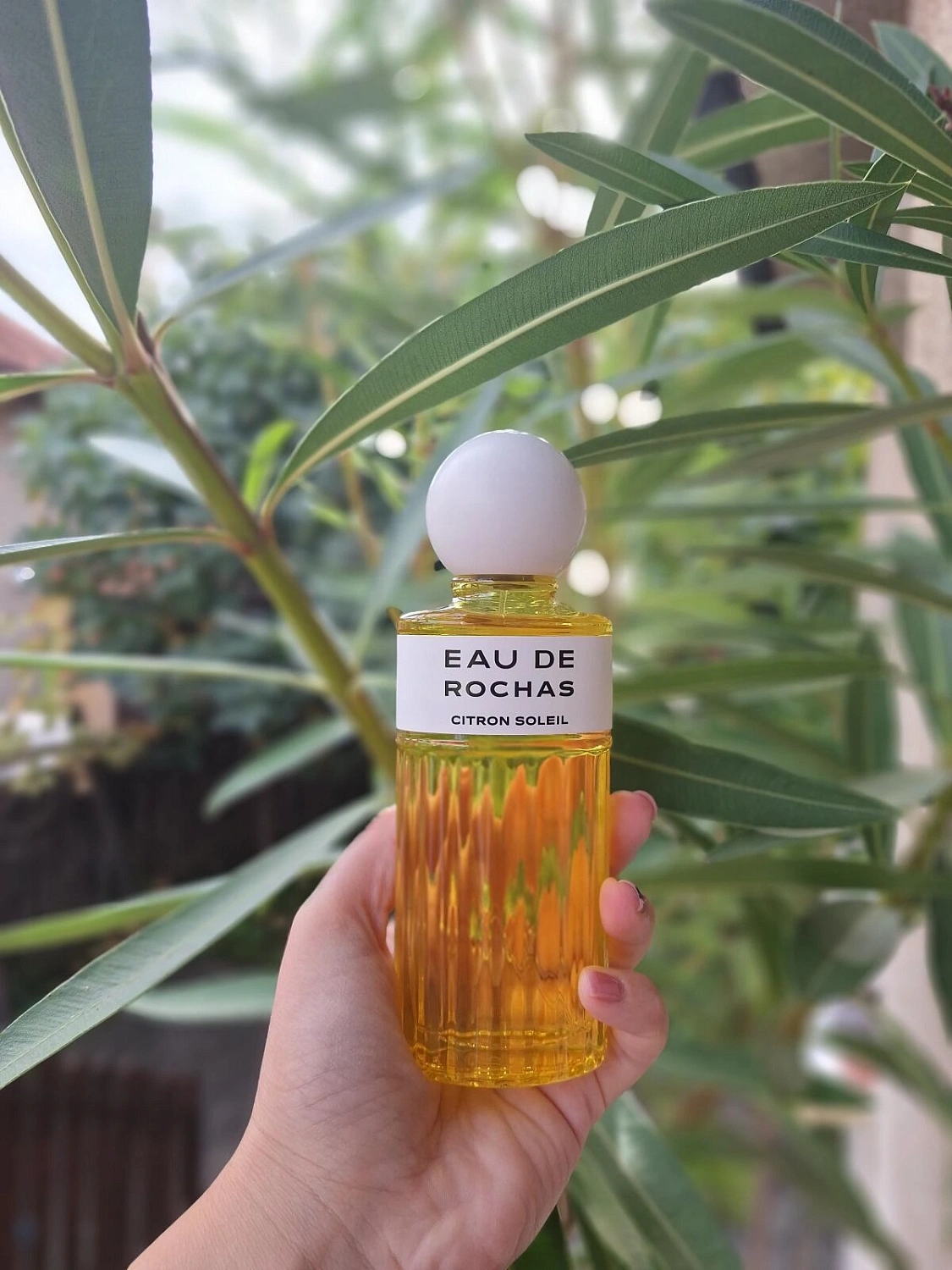 Eau de Rochas Citron Soleil