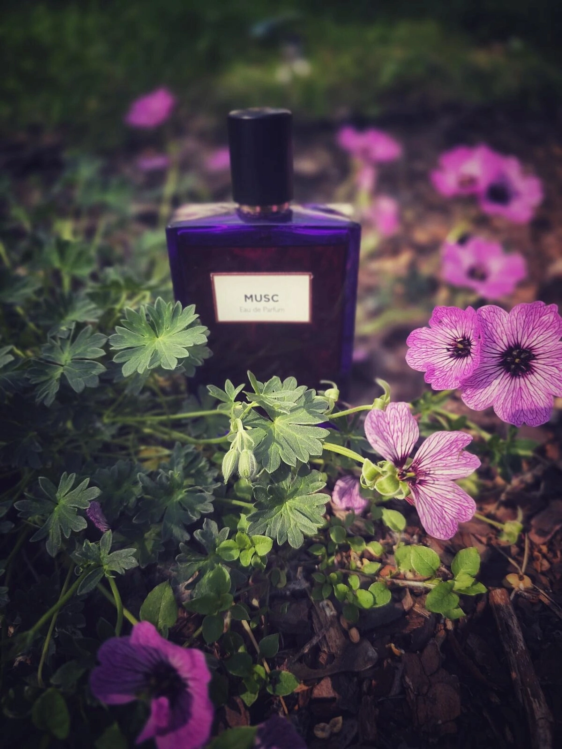 Molinard Musc Eau de Parfum Molinard Musc Eau de Parfum