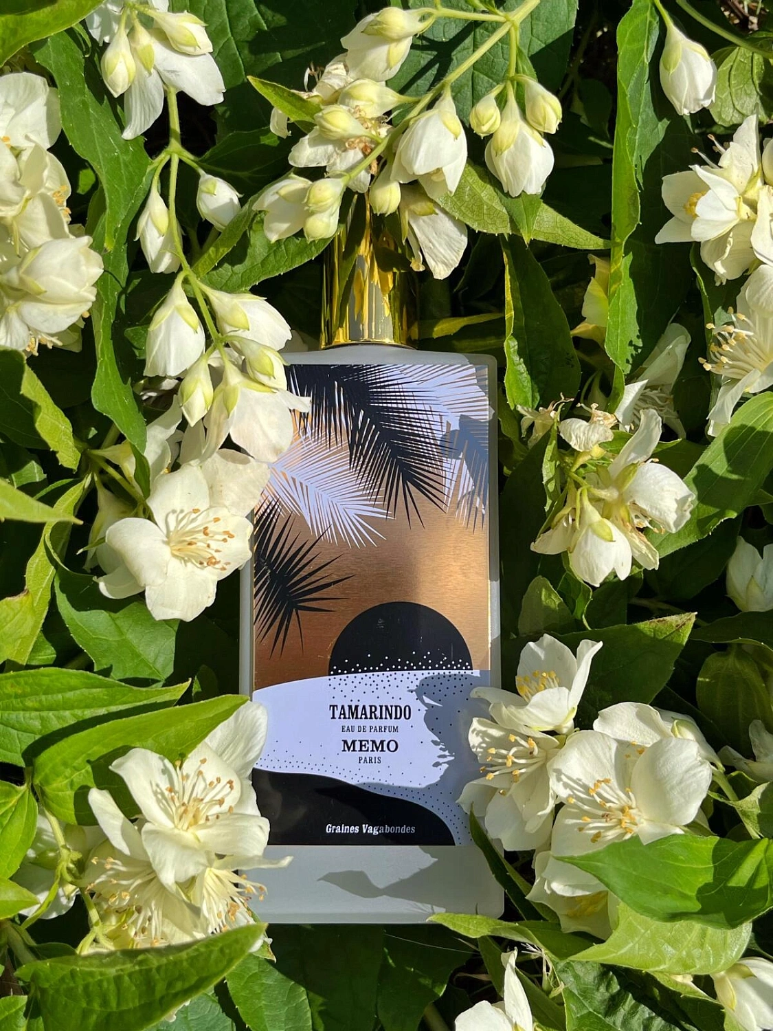 Memo Tamarindo